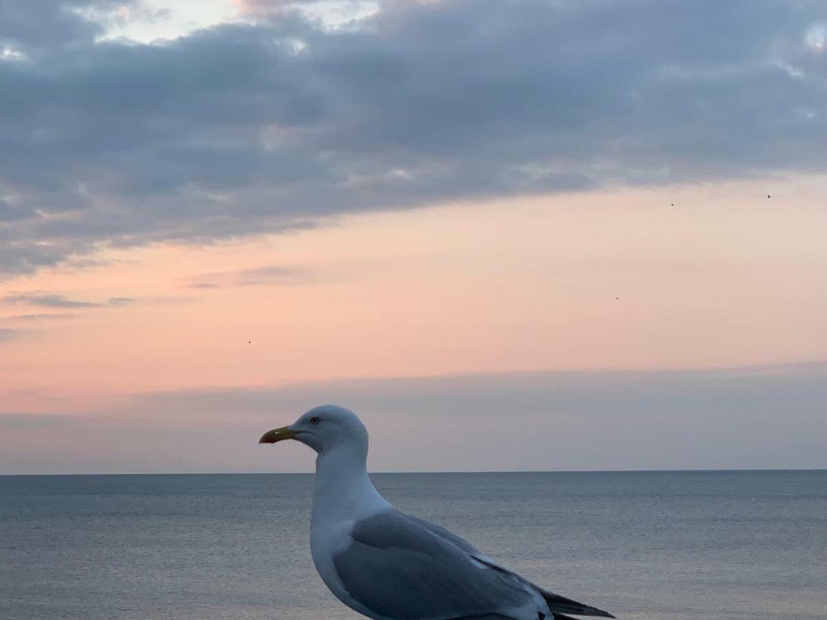 Celtic Bay Guest House Aberystwyth Buitenkant foto