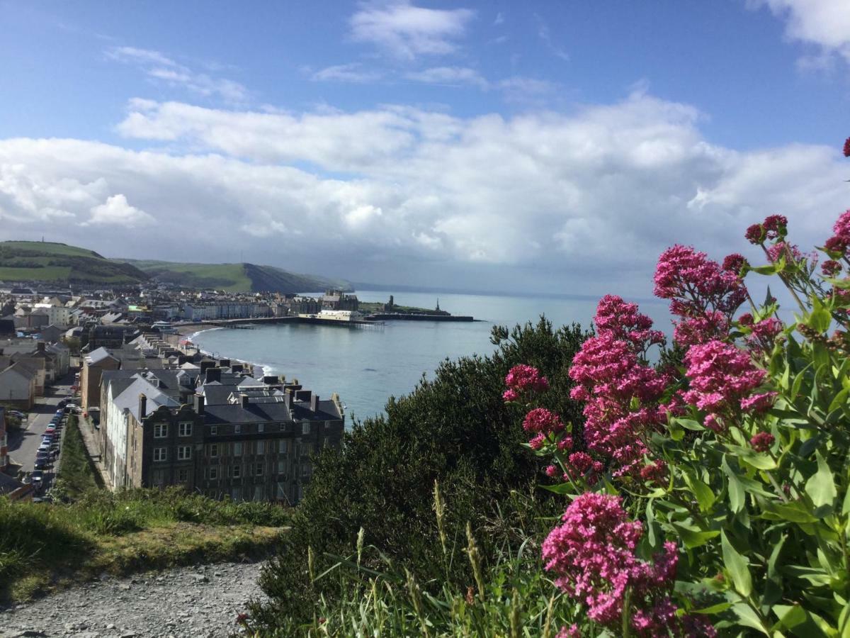 Celtic Bay Guest House Aberystwyth Buitenkant foto